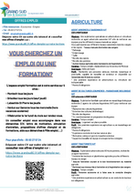 Miniature de la première page du fichier Offres d'emploi Communauté Grand Sud Tarn-et-Garonne :